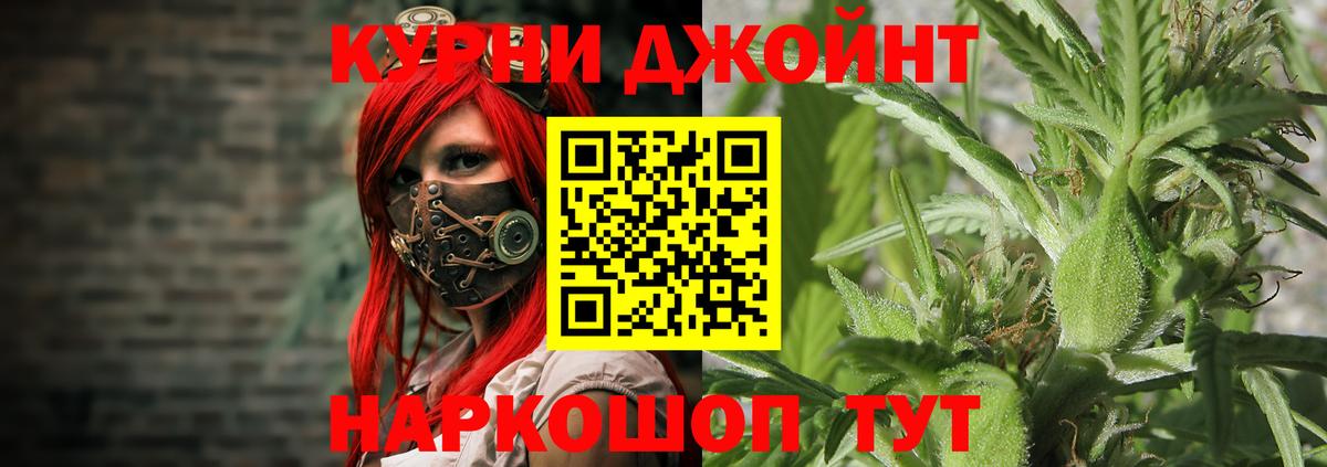 Канабис сатива Лесосибирск